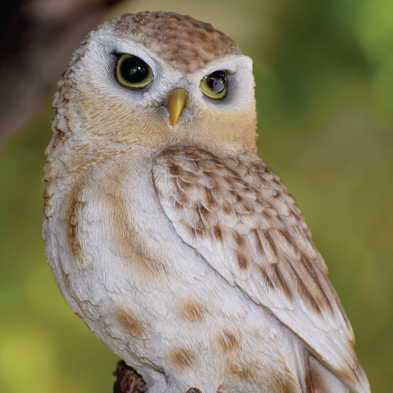 Brown Owl on Stump - Small HI-LINE GIFT LTD.