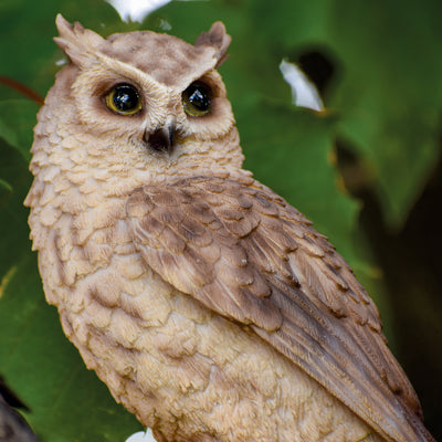 Screech Owl on Stump Statue HI-LINE GIFT LTD.