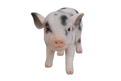 Standing Baby Pig Statue HI-LINE GIFT LTD.