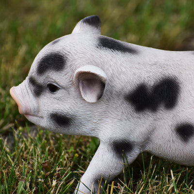 Standing Baby Pig Statue HI-LINE GIFT LTD.