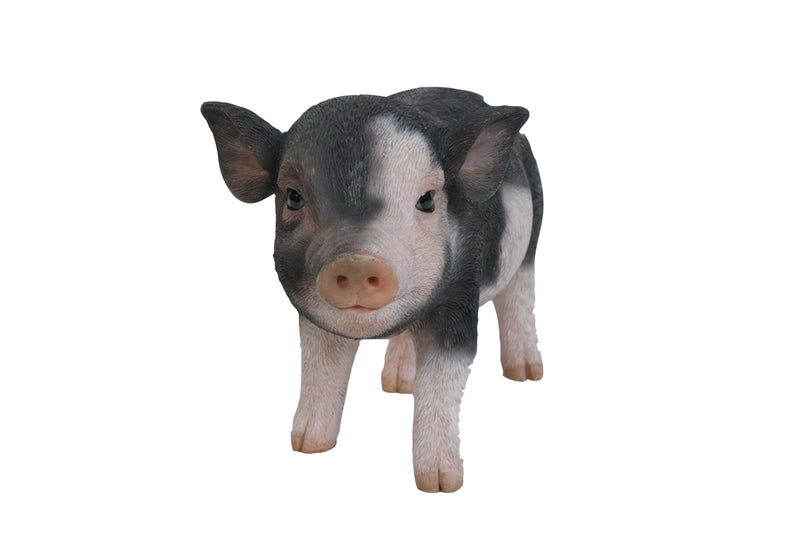 Standing Baby Pig Statue HI-LINE GIFT LTD.