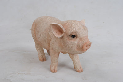 Standing Baby Pig Statue HI-LINE GIFT LTD.