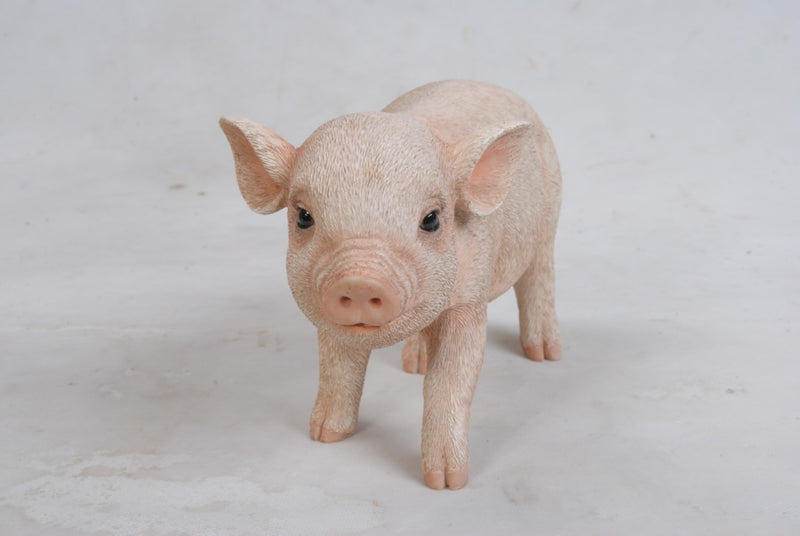 Standing Baby Pig Statue HI-LINE GIFT LTD.