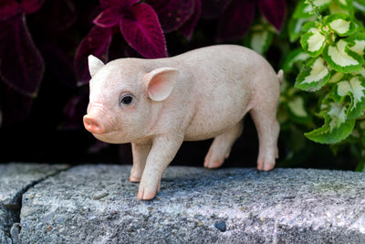 Standing Baby Pig Statue HI-LINE GIFT LTD.