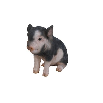 Sitting Baby Pig- Dark Brown Statue HI-LINE GIFT LTD.