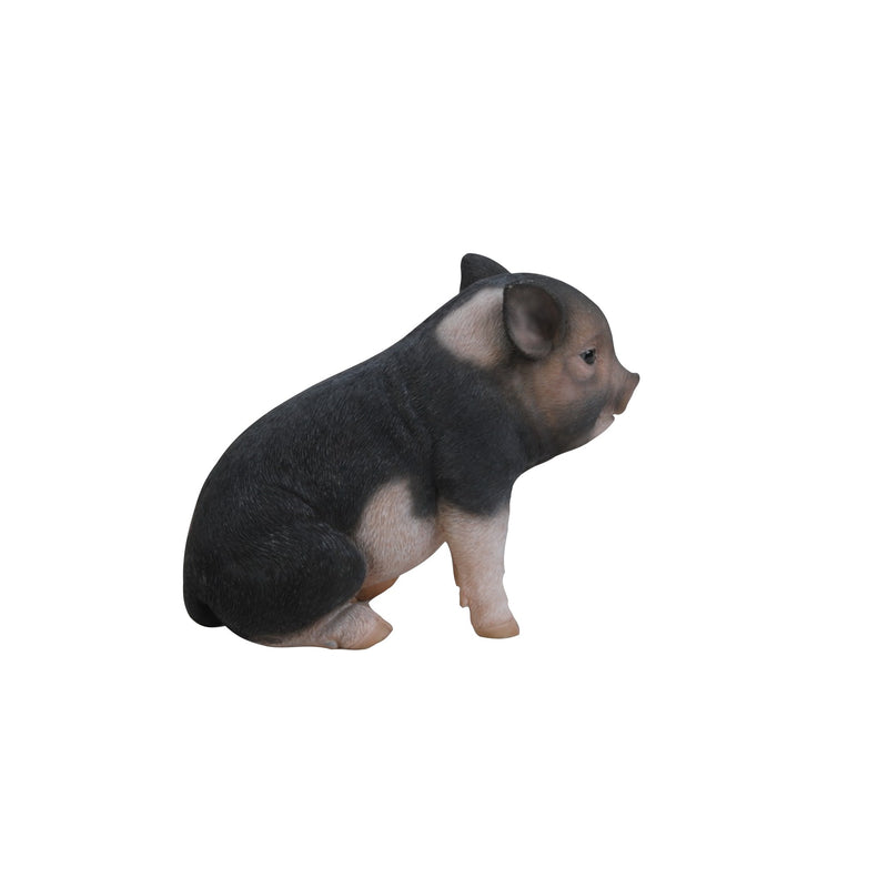 Sitting Baby Pig- Dark Brown Statue HI-LINE GIFT LTD.