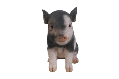 Sitting Baby Pig- Dark Brown Statue HI-LINE GIFT LTD.