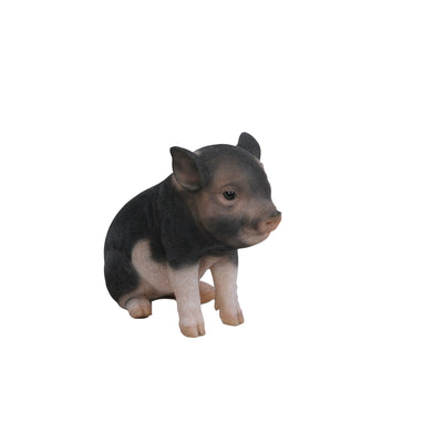 Sitting Baby Pig- Dark Brown Statue HI-LINE GIFT LTD.