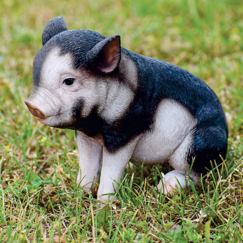 Sitting Baby Pig- Dark Brown Statue HI-LINE GIFT LTD.