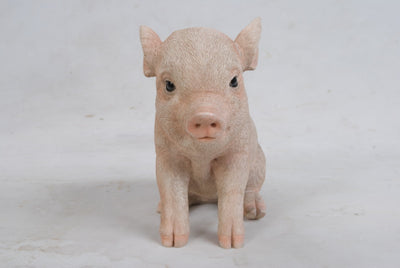 Sitting Baby Pig Statue HI-LINE GIFT LTD.