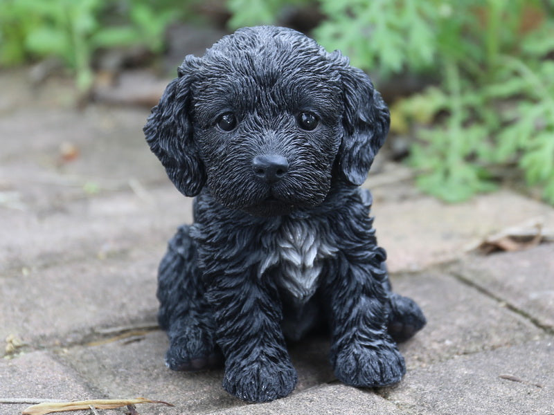 Pet Pals - Cockapoo Puppy Black Statue HI-LINE GIFT LTD.