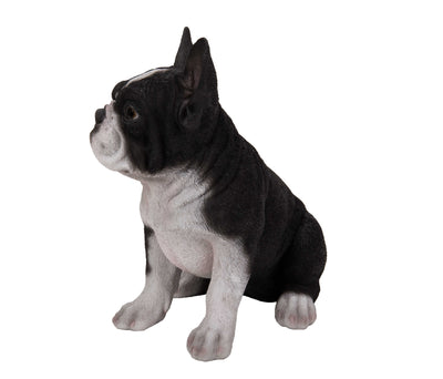 Pet Pals - French Bulldog Puppy Black and White Statue HI-LINE GIFT LTD.