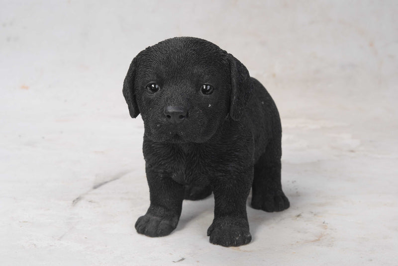 Pet Pals - Labrador Puppy Standing Statue HI-LINE GIFT LTD.