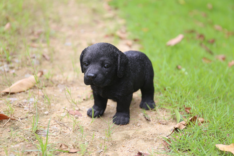 Pet Pals - Labrador Puppy Standing Statue HI-LINE GIFT LTD.