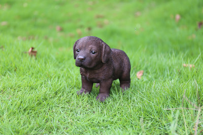 Pet Pals - Labrador Puppy Standing Statue HI-LINE GIFT LTD.