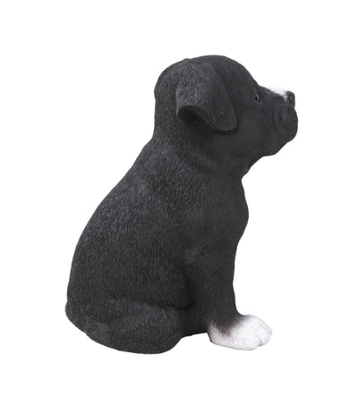 Pet Pals-Staffordshire Pitbull Puppy Statue HI-LINE GIFT LTD.