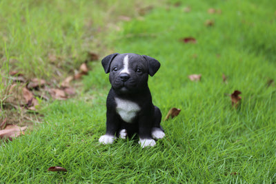 Pet Pals-Staffordshire Pitbull Puppy Statue HI-LINE GIFT LTD.