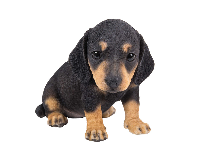 Pet Pals - Dachshund puppy Statue - Black HI-LINE GIFT LTD.