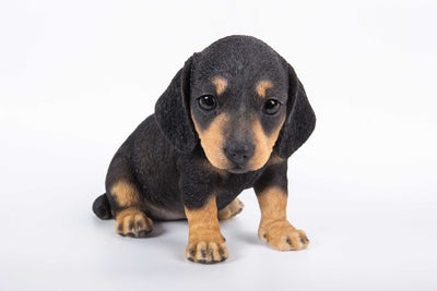 Pet Pals - Dachshund puppy Statue - Black HI-LINE GIFT LTD.