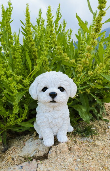 Pet Pals - Maltese Puppy White Statue HI-LINE GIFT LTD.