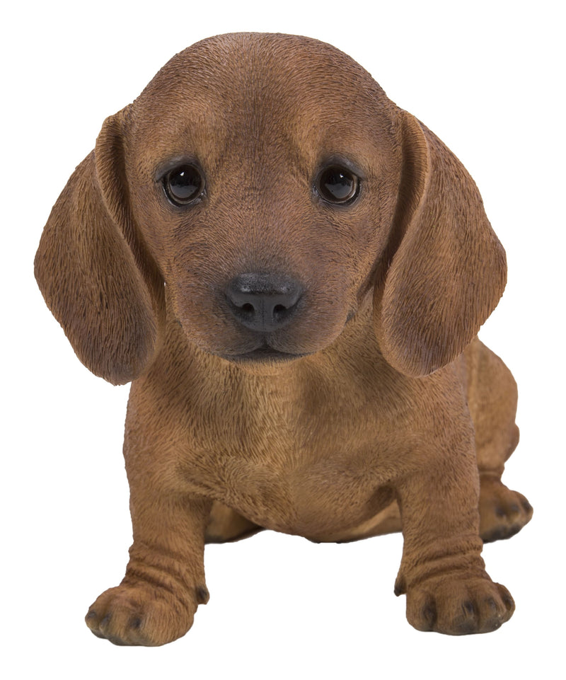 Pet Pals - Dachshund Sitting Puppy Statue - Brown HI-LINE GIFT LTD.