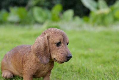 Pet Pals - Dachshund Sitting Puppy Statue - Brown HI-LINE GIFT LTD.