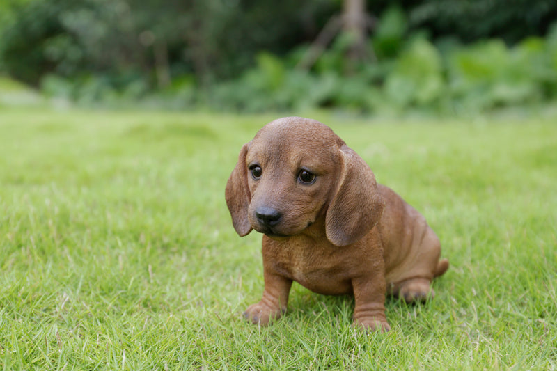 Pet Pals - Dachshund Sitting Puppy Statue - Brown HI-LINE GIFT LTD.