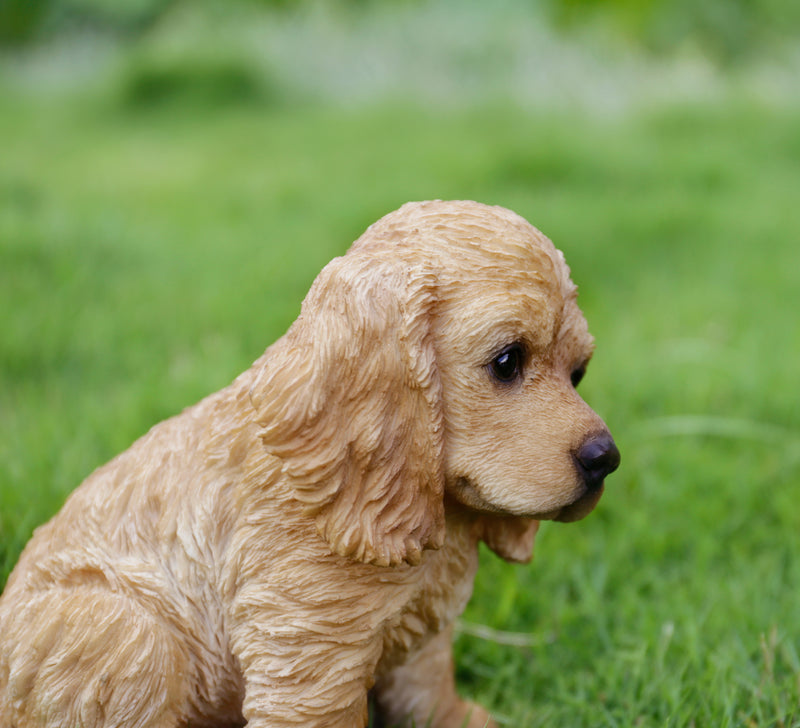 Pet Pals - Cocker Spaniel Cream Statue HI-LINE GIFT LTD.