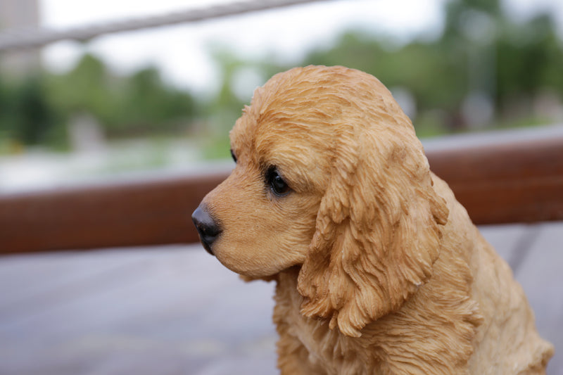 Pet Pals - Cocker Spaniel Cream Statue HI-LINE GIFT LTD.