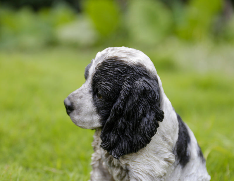 Pat Pals - Cocker Spaniel - Black & White Statue HI-LINE GIFT LTD.