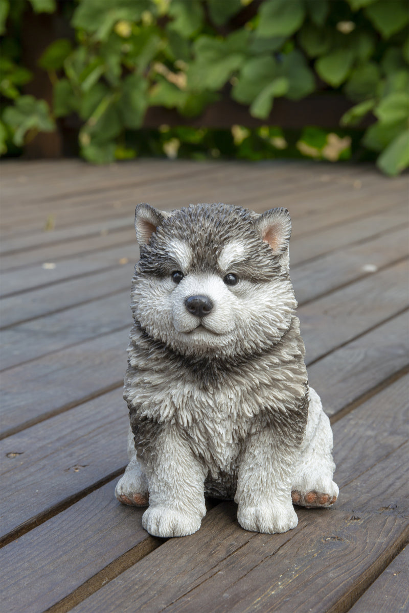 Pet Pals - Malamute Puppy Statue HI-LINE GIFT LTD.