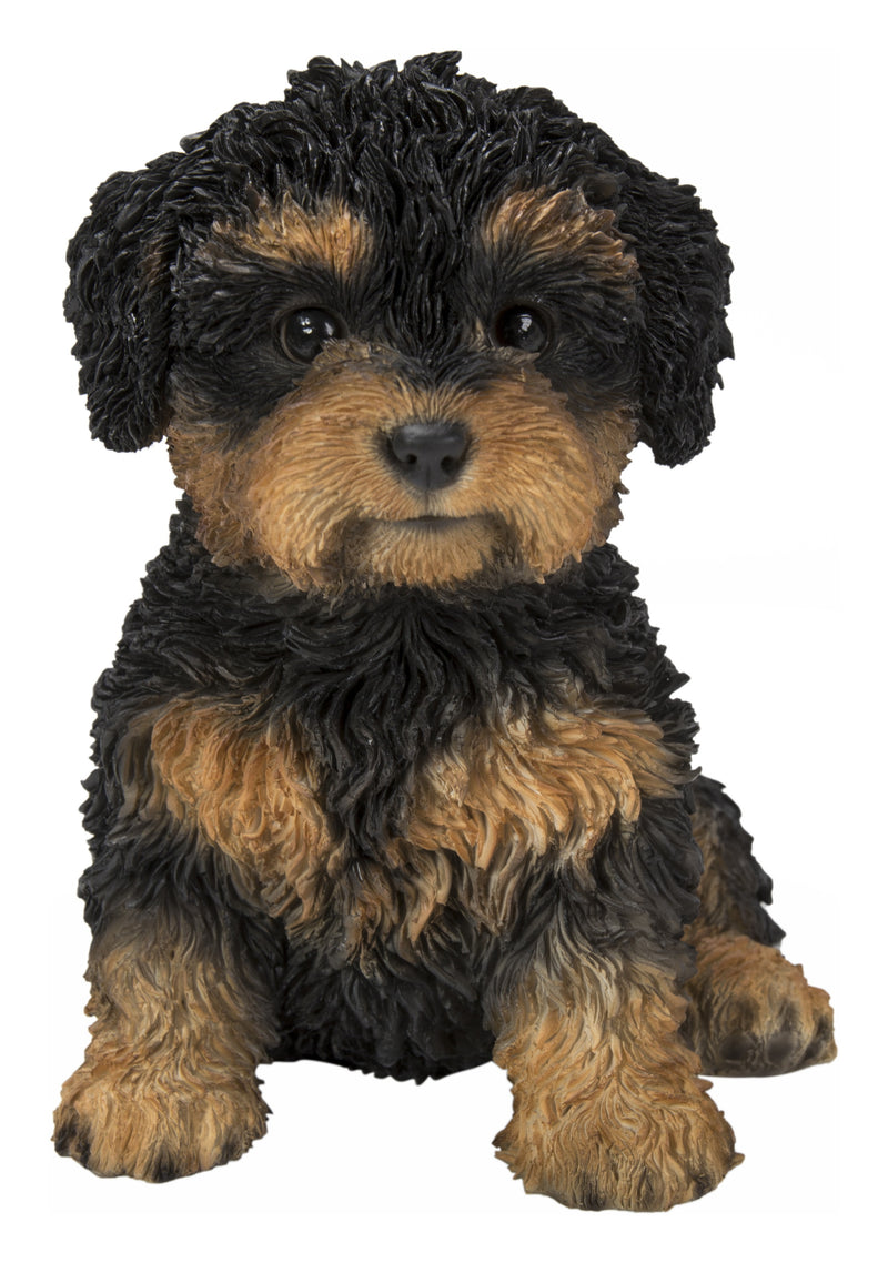 Baby Cavapoo Black & Tan HI-LINE GIFT LTD.