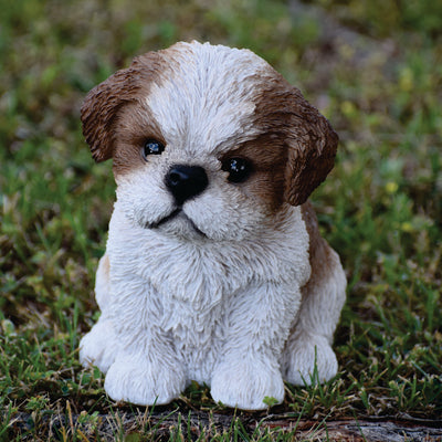 Pet Pals - Shi Tzu Puppy-Brown and White Statue HI-LINE GIFT LTD.