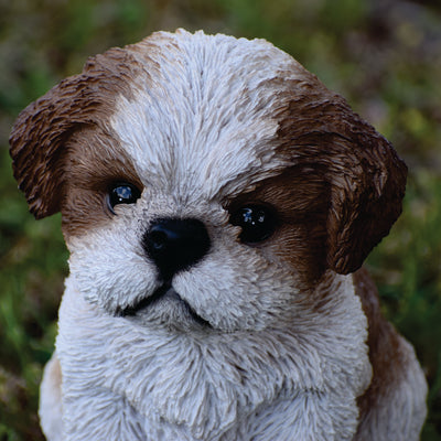 Pet Pals - Shi Tzu Puppy-Brown and White Statue HI-LINE GIFT LTD.