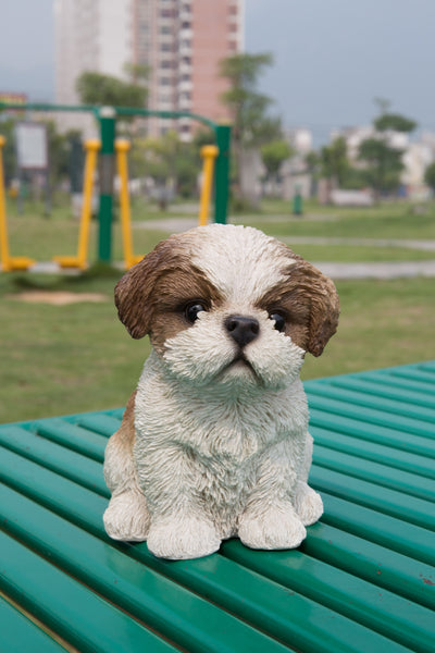 Pet Pals - Shi Tzu Puppy-Brown and White Statue HI-LINE GIFT LTD.