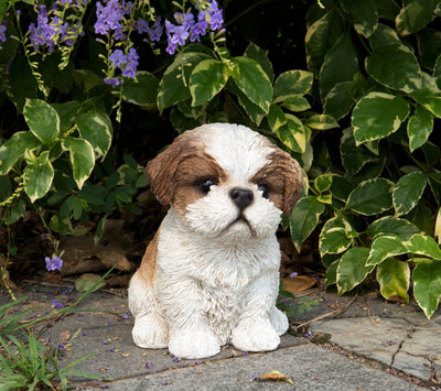 Pet Pals - Shi Tzu Puppy-Brown and White Statue HI-LINE GIFT LTD.