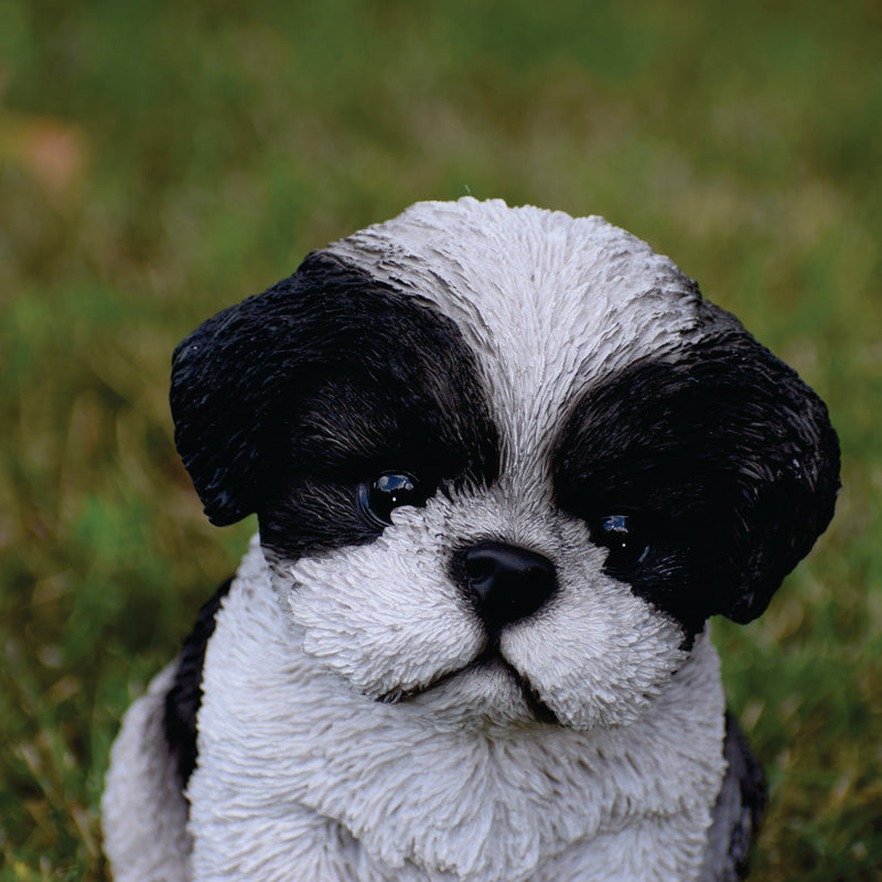 Pet Pals-Shi Tzu Puppy-Black and White Statue HI-LINE GIFT LTD.