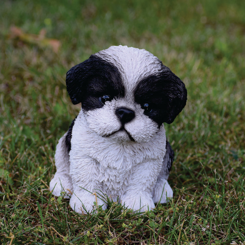 Pet Pals-Shi Tzu Puppy-Black and White Statue HI-LINE GIFT LTD.