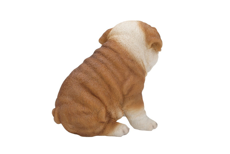 Pet Pals - Bulldog puppy Statue HI-LINE GIFT LTD.