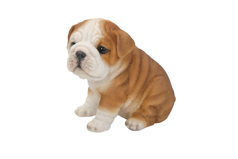 Pet Pals - Bulldog puppy Statue HI-LINE GIFT LTD.