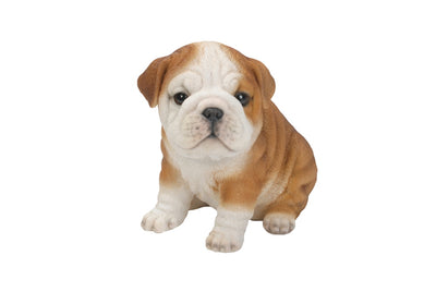 Pet Pals - Bulldog puppy Statue HI-LINE GIFT LTD.