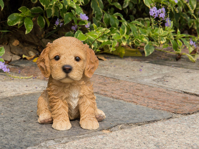 Pet Pals - Cockapoo Puppy Brown Statue HI-LINE GIFT LTD.