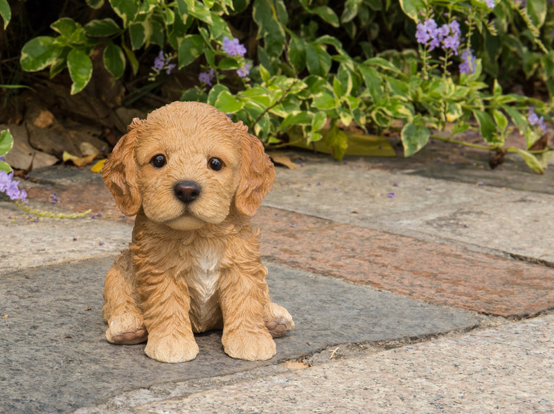 Pet Pals - Cockapoo Puppy Brown Statue HI-LINE GIFT LTD.