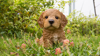 Pet Pals - Cockapoo Puppy Brown Statue HI-LINE GIFT LTD.