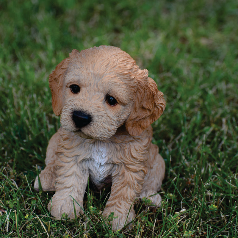 Pet Pals - Cockapoo Puppy Brown Statue HI-LINE GIFT LTD.