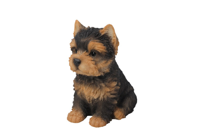 Pet Pals - Yorkshire Terrier Puppy Statue HI-LINE GIFT LTD.