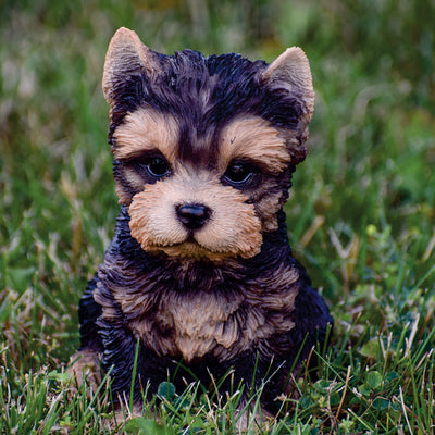 Pet Pals - Yorkshire Terrier Puppy Statue HI-LINE GIFT LTD.