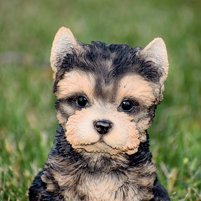 Pet Pals - Yorkshire Terrier Puppy Statue HI-LINE GIFT LTD.