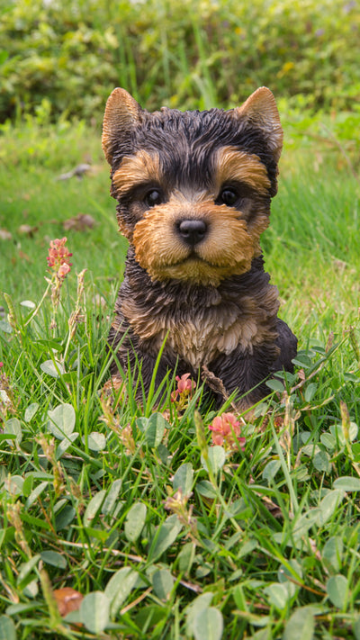 Pet Pals - Yorkshire Terrier Puppy Statue HI-LINE GIFT LTD.