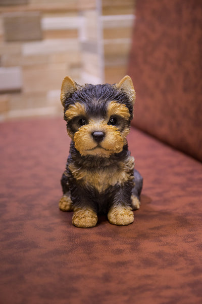 Pet Pals - Yorkshire Terrier Puppy Statue HI-LINE GIFT LTD.